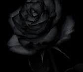 Aut sint asperiores molestiae facere autem omnis corporis quo sit et qui harum dolor rerum illo iusto illum